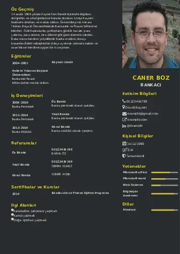 Bankacı CV Örnekleri cv indir